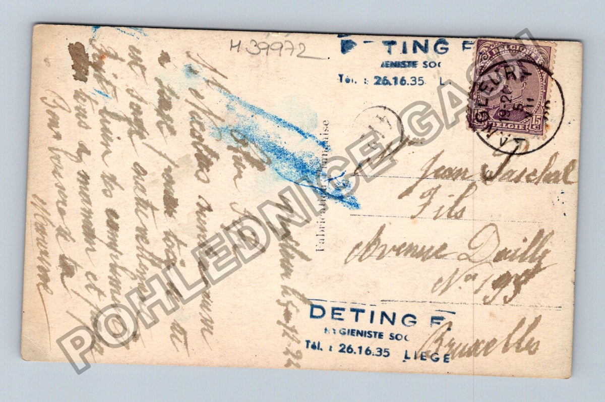 Pohlednice Belgie pes Harry Phot. 1935 (M39972)