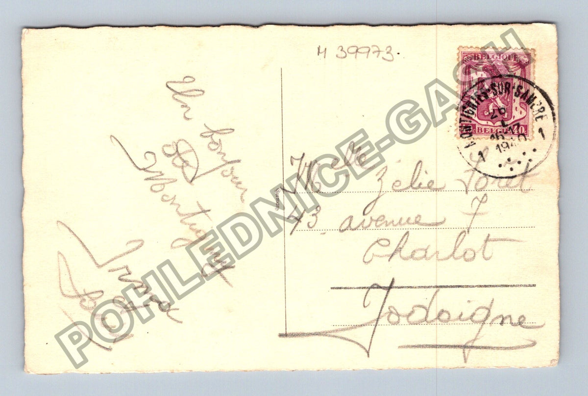 Pohlednice Belgie psi na schodech (M39973)