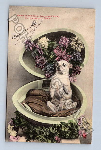Pohlednice Francie pes v srdci květiny 1905 (M39980)