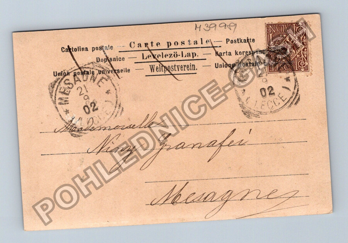 Pohlednice Itálie pes svatý Bernard 1902 (M39981)