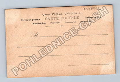 Pohlednice Francie pes SNAP Chienne Pointer Paul Boyer (M39982)