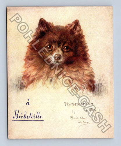 Pohlednice Pomeranian Toy pes Maud West Watson Bechetoille (M39983)
