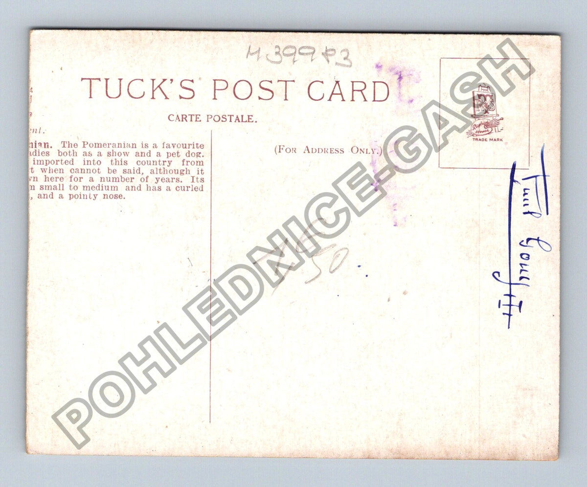 Pohlednice Pomeranian Toy pes Maud West Watson Bechetoille (M39983)
