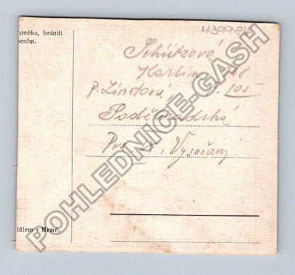 Pohlednice štěňata psů ležící na zádech (M39984)