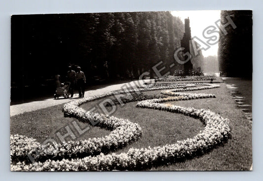 Stará fotografie Olomouc Smetanovy sady výstava květin 1955 (M39988)