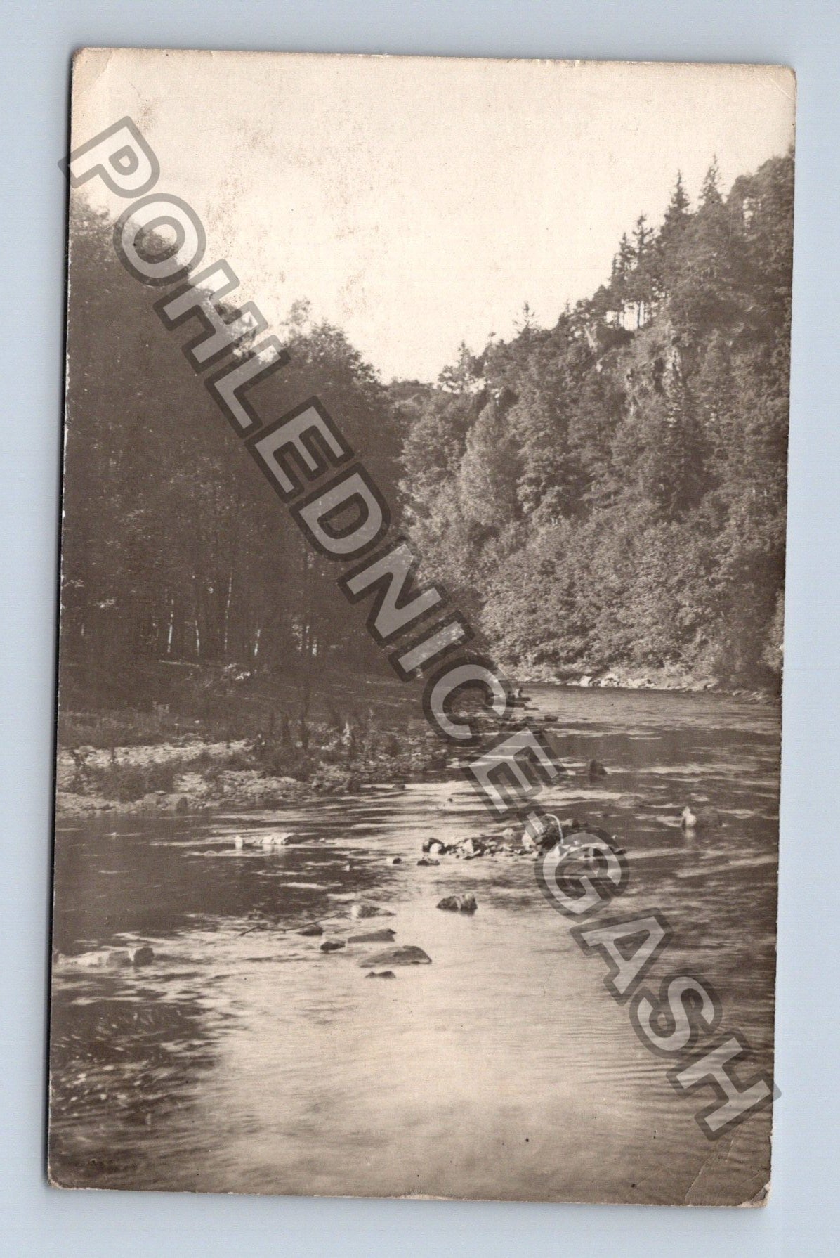 Pohlednice Řeka les krajina (M40002)
