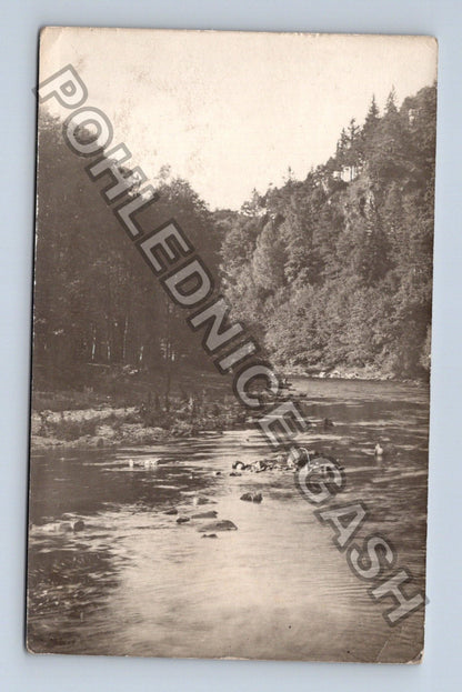 Pohlednice Řeka les krajina (M40002)