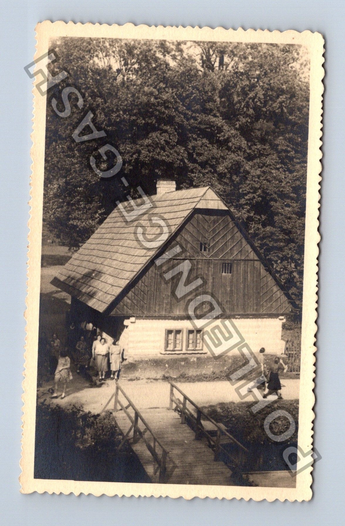 Stará fotografie Venkovský dům se zahradou a lidmi (M40003)