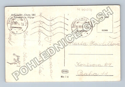 Pohlednice Krkonoše Chata SBS Špindlerův Mlýn 1956 (M40014)
