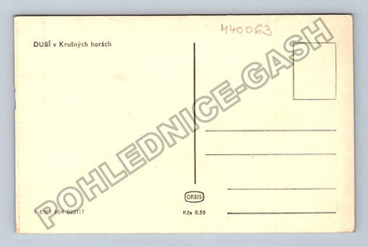 Pohlednice Dubí v Krušných horách (M40063)
