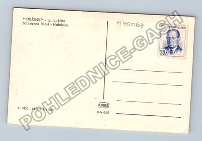 Pohlednice Mokřinky p Lublice zotavovna ROH Holubice (M40064)