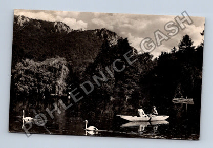Pohlednice Štátne Kúpele Rajecké Teplice jezero labutě (M40091)