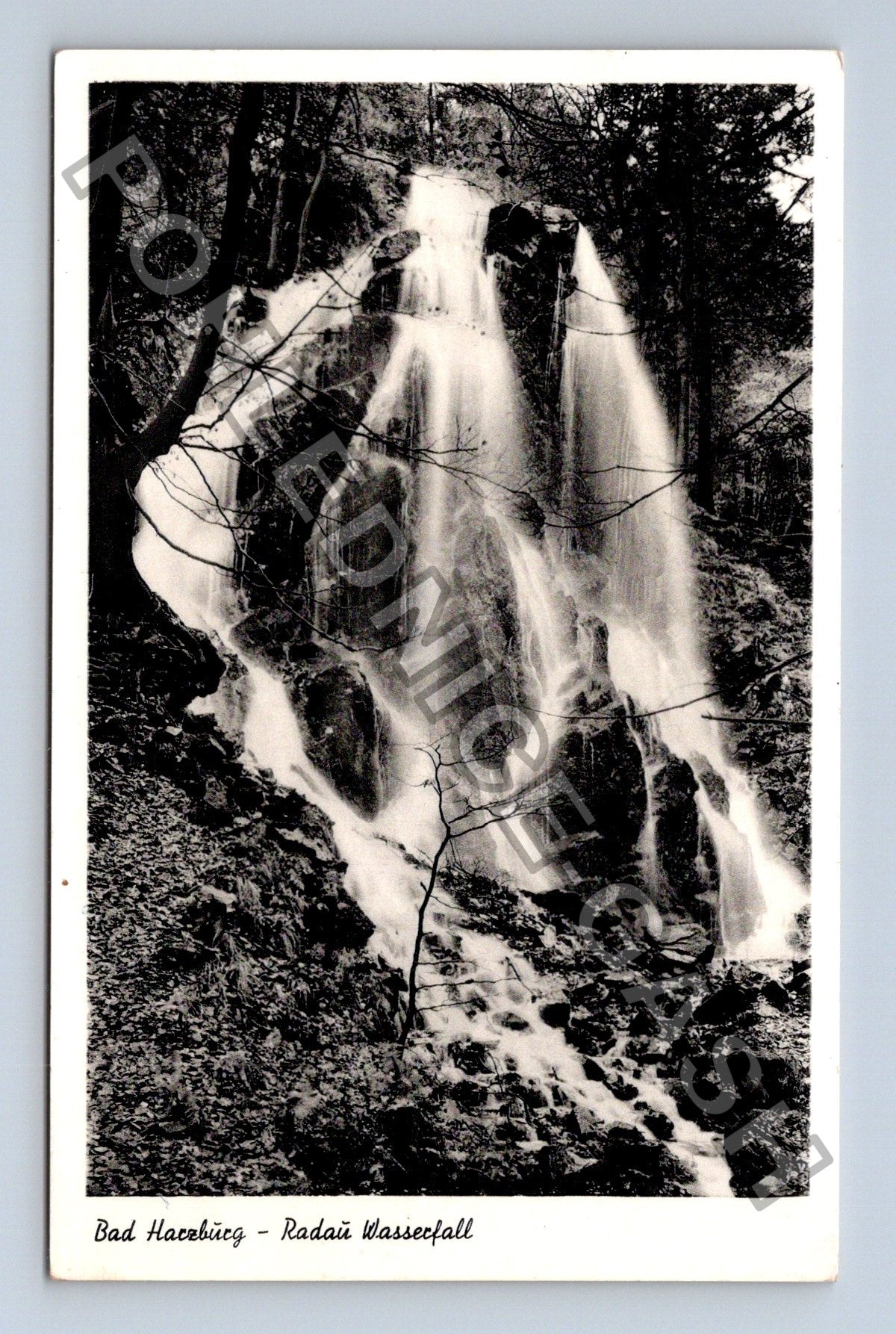 Pohlednice Německo Bad Harzburg Radau Wasserfall (M40149)