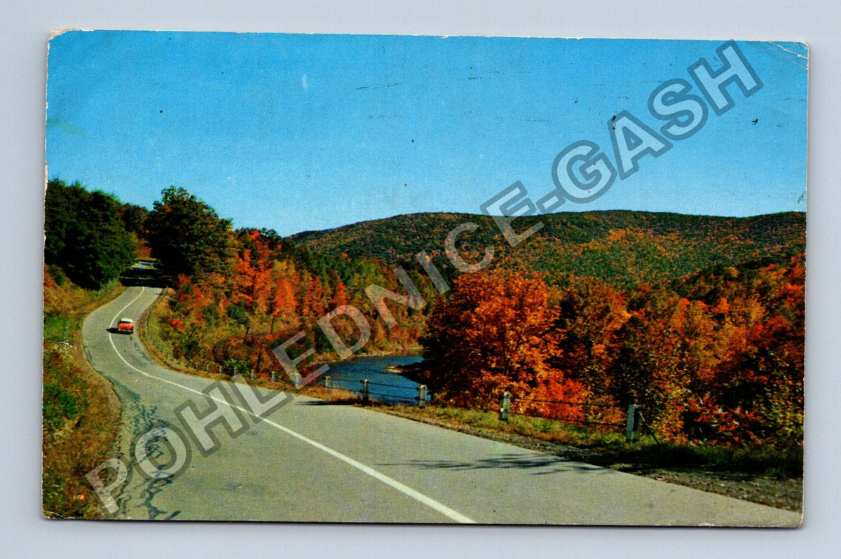 Pohlednice ALLEGHANY STATE PARK New York podzimní krajina (M40153)