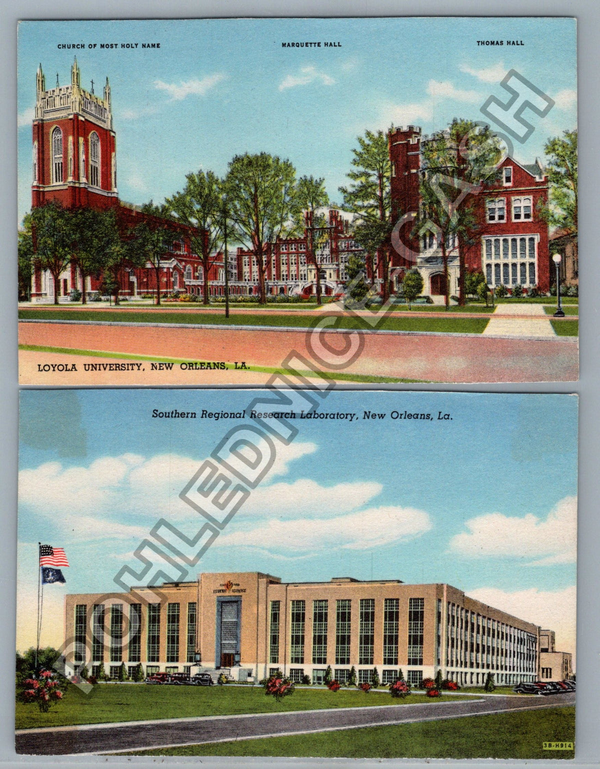 Pohlednice USA New Orleans Loyola University Mardi Gras (M40162)