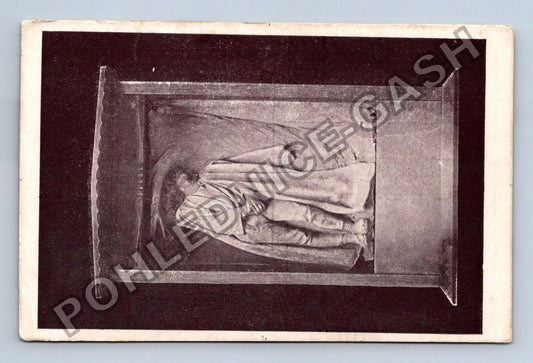 Pohlednice mumie v rakvi (M40163)