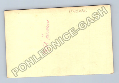 Stará fotografie portrét mladého muže 1951 (M40236)