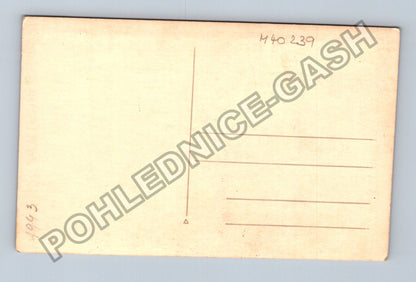 Pohlednice Mužský portrét 1943 (M40239)