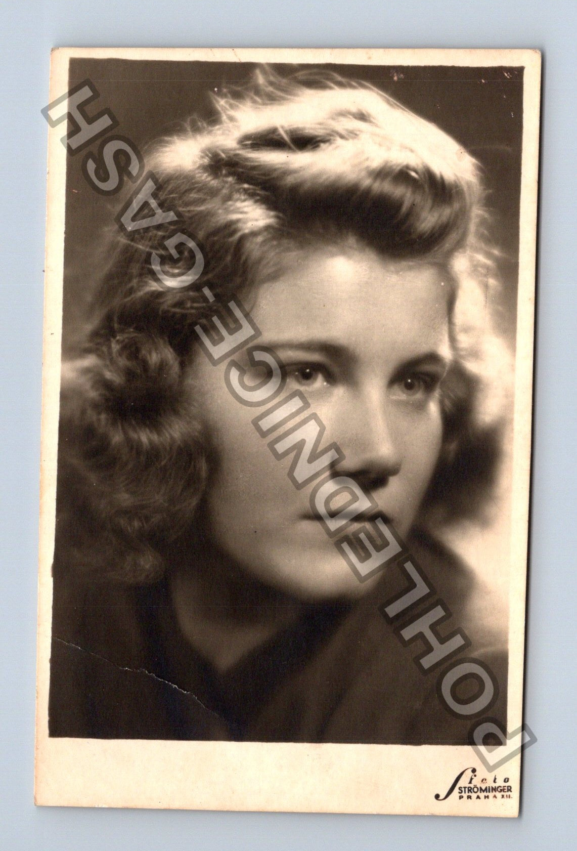Stará fotografie Portrét mladé ženy ateliér Strominger Praha (M40297)