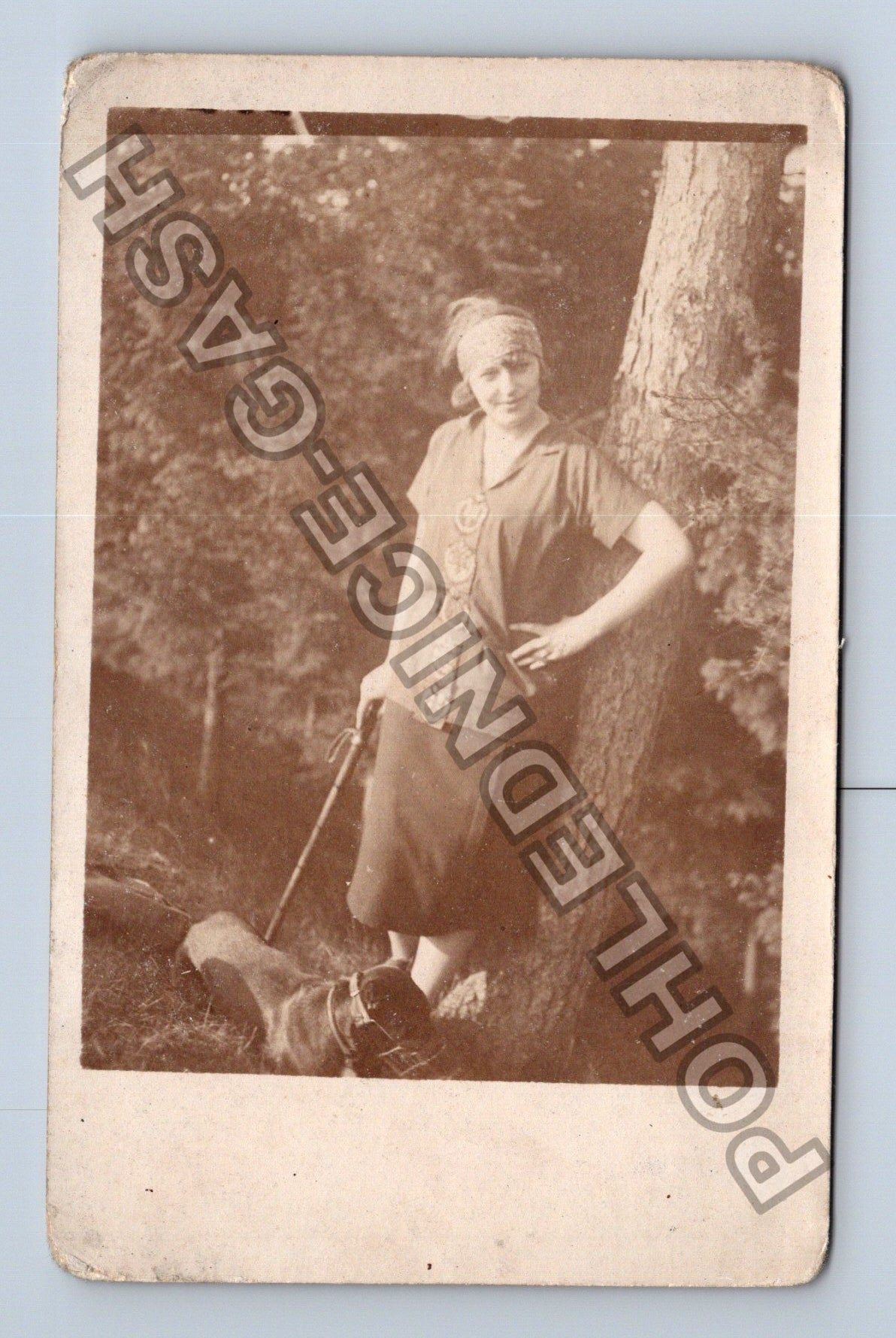 Pohlednice Žena ležící na kmeni stromu (M40311)