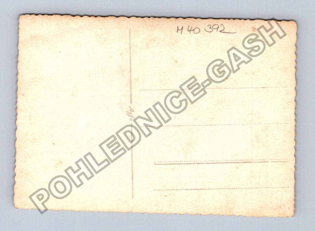 Pohlednice Skupinová fotografie muži v uniformách a plavkách (M40392)