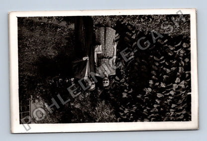Stará fotografie Pár v zahradě (M40398)