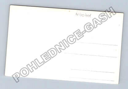 Pohlednice Dvě ženy v lidových krojích (M40401)