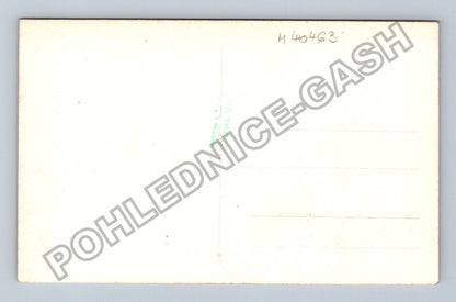 Pohlednice Společenská událost hostina večeře (M40463)