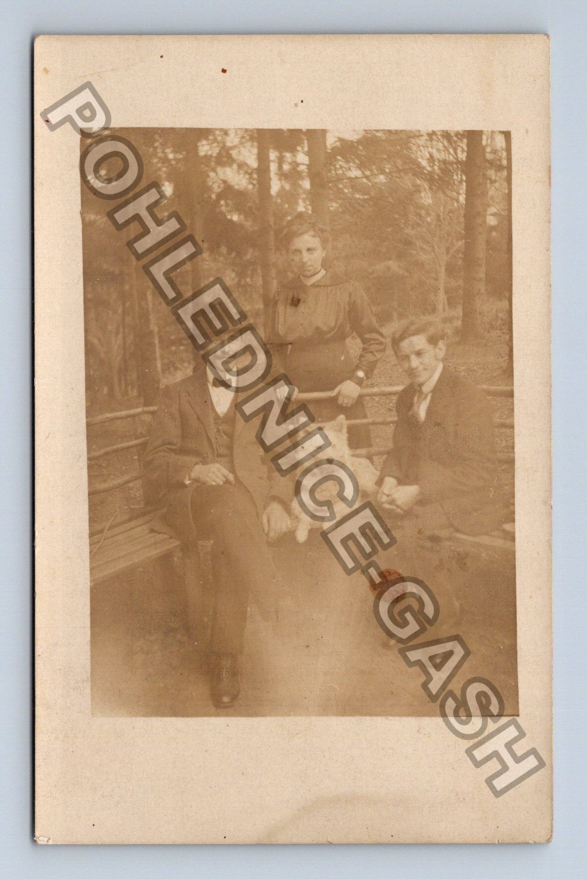 Pohlednice skupinová fotografie s rodinou a psem (M40466)