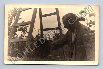Stará fotografie Muž s úlem žebřík zahrada (M40480)