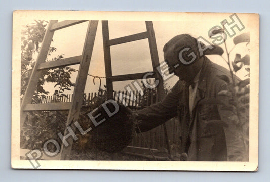 Stará fotografie Muž s úlem žebřík zahrada (M40480)