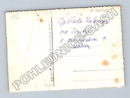 Stará fotografie Vláďa Nahom na poníku s maminkou a sestrou (M40488)