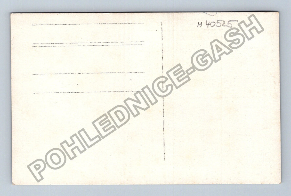 Pohlednice skupinka lidí u vody stromy příroda (M40525)