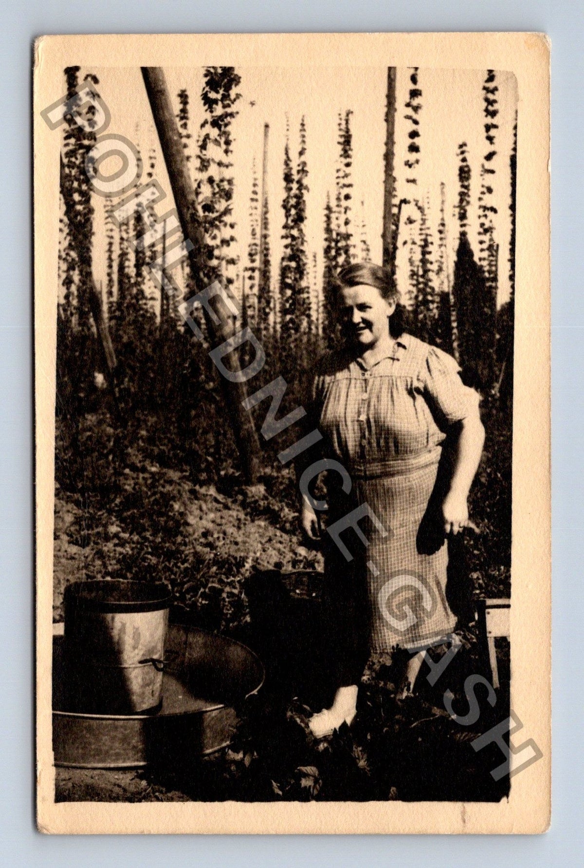 Pohlednice Žena v zahradě s kbelíky (M40563)