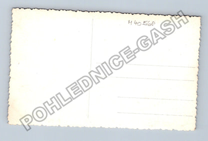 Pohlednice portrét starší pár 1942 (M40568)
