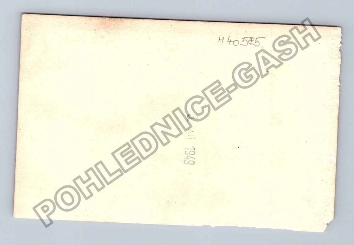 Stará fotografie Pár s květinou 1949 (M40585)