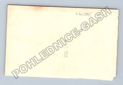 Stará fotografie Pár s květinou 1949 (M40585)