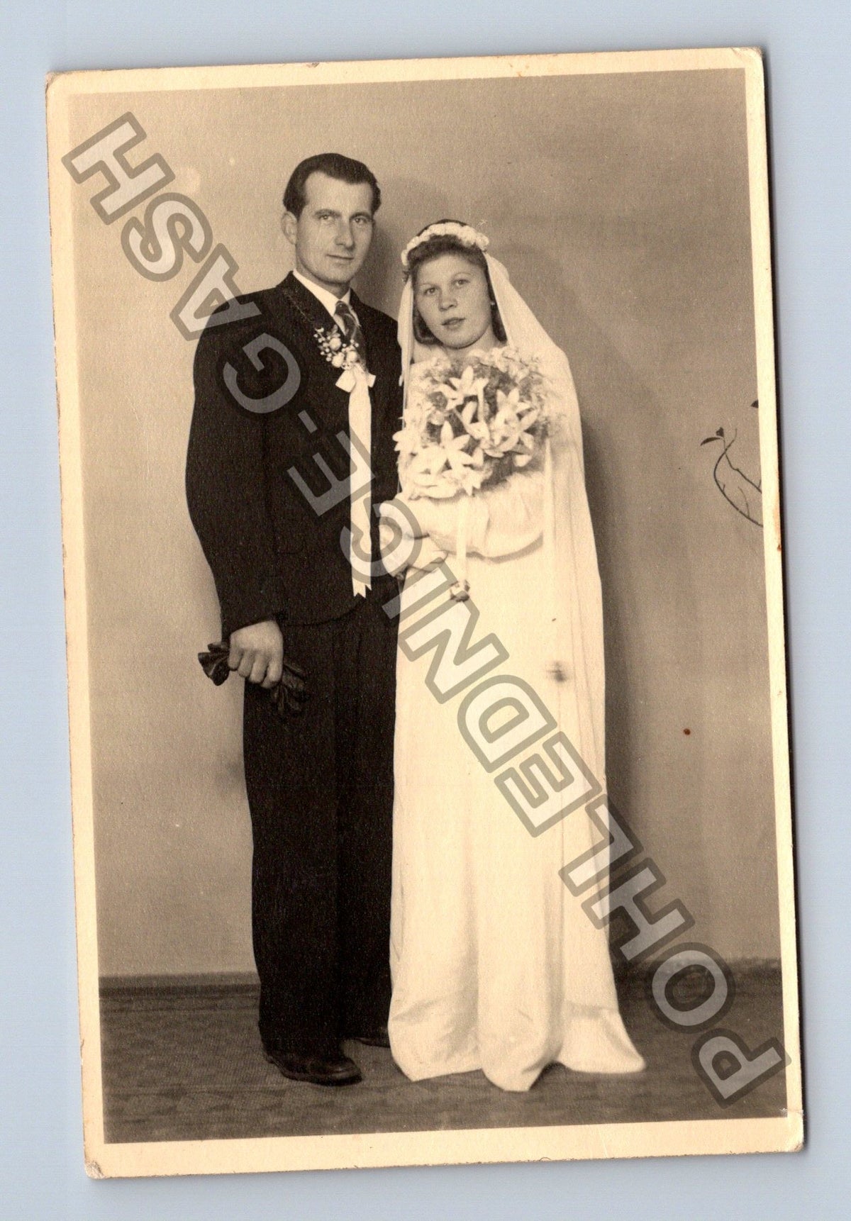 Svatební fotografie novomanželé (M40624)