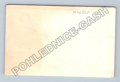 Svatební fotografie skupina lidí (M40628)