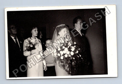 Svatební fotografie nevěsta ženich a hosté (M40638)