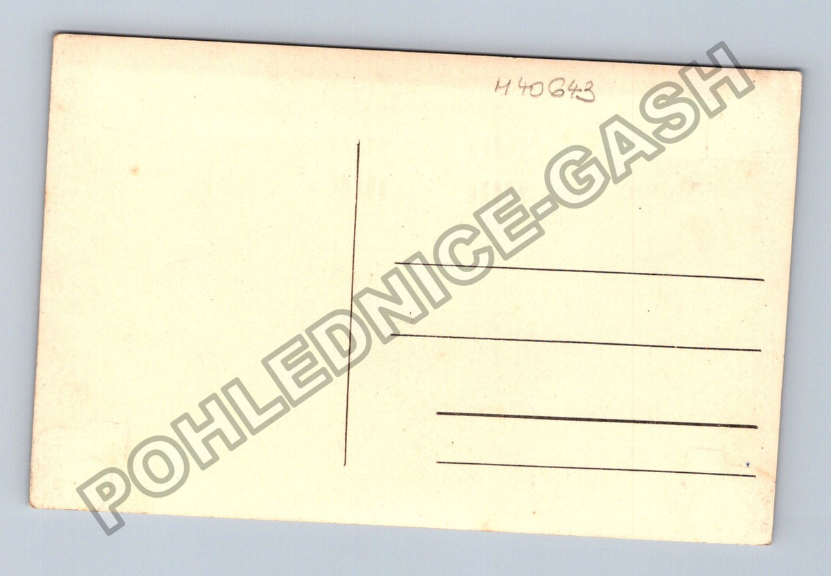 Pohlednice portrétní foto páru v ateliéru (M40643)