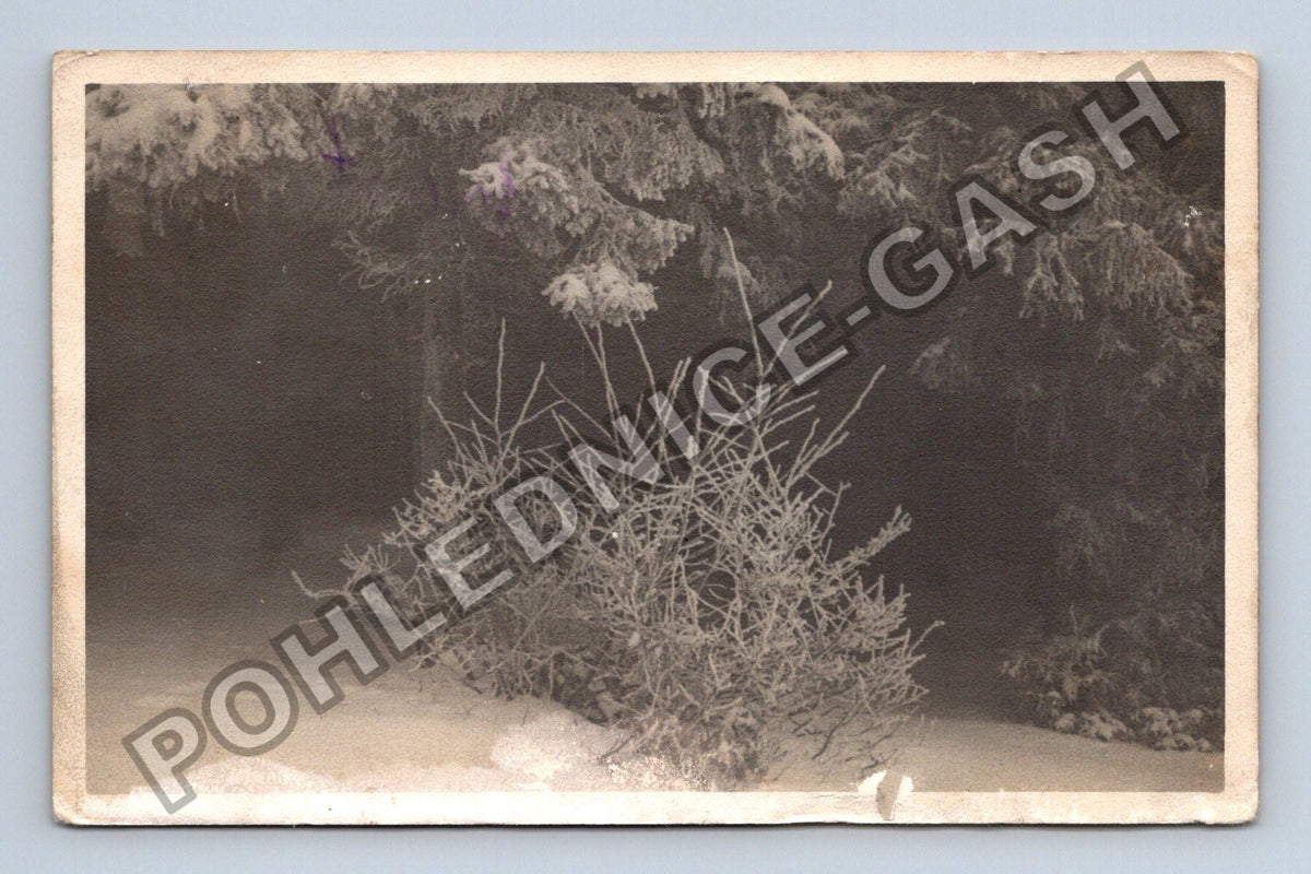 Pohlednice Zimní krajina Bystřice pod Hostýnem 1957 (M40673)
