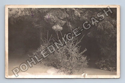 Pohlednice Zimní krajina Bystřice pod Hostýnem 1957 (M40673)