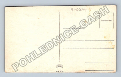 Pohlednice alej stromů břízy (M40674)