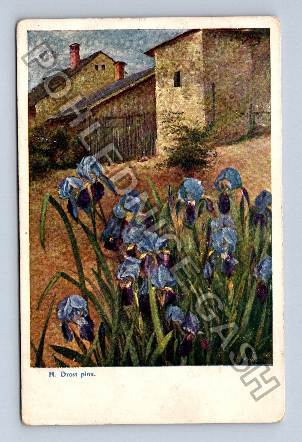 Pohlednice Malba kosatce a dům H Drost pinx 1923 (M40706)