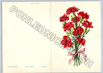 Pohlednice Kytice červených karafiátů (M40722)
