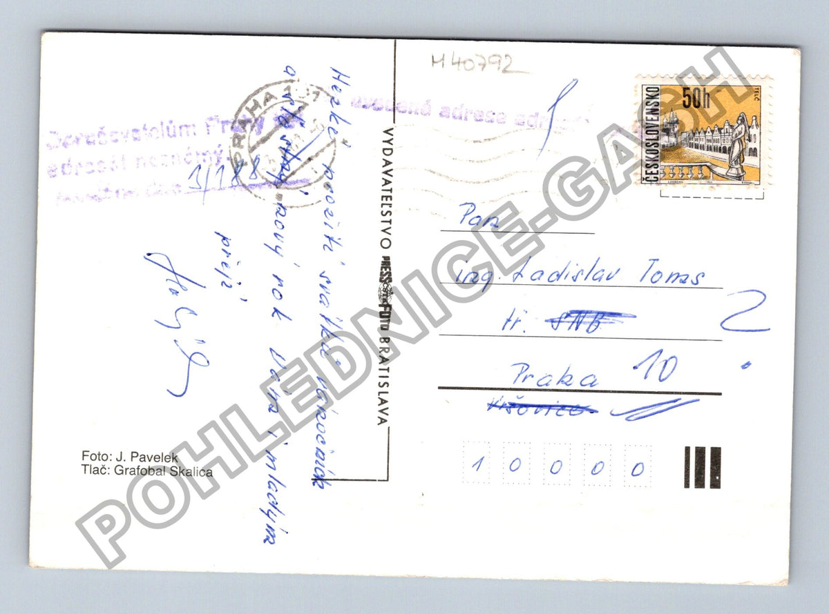 Pohlednice Vánoční motiv jehličí stromečky (M40792)