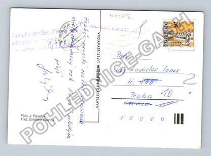 Pohlednice Vánoční motiv jehličí stromečky (M40792)