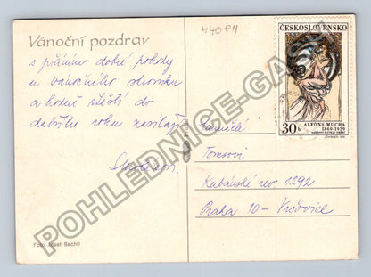 Pohlednice Vánoční pozdrav jablka ořechy jehličí (M40811)