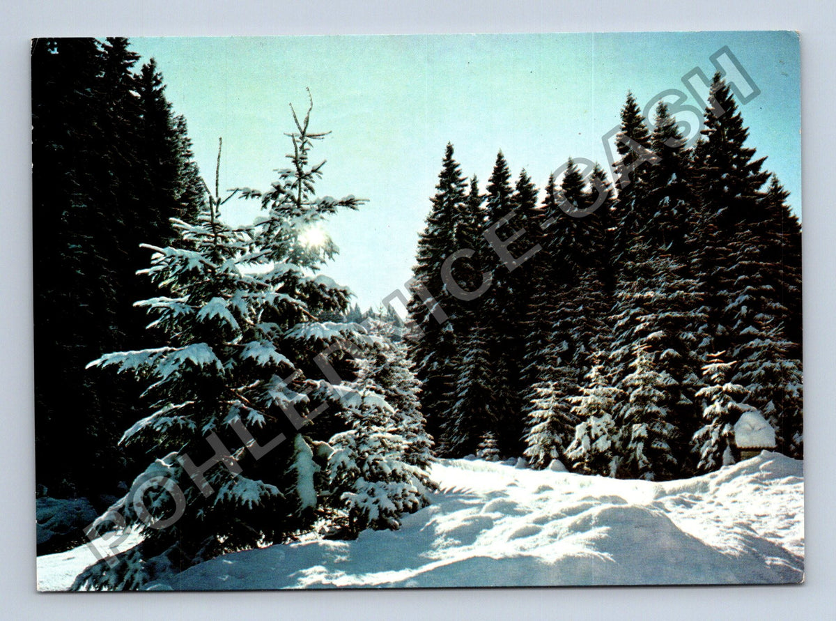 Pohlednice Zasněžený les Radostné Vánoce 1977 (M40835)